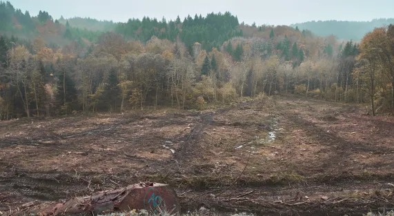 ESSAI5.jpg