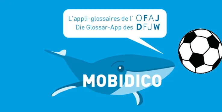 mobidico-foot-2016.png
