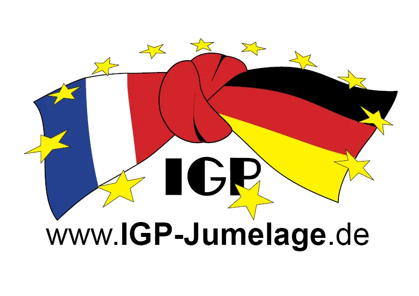 svg+xml;charset=utf-8,%3Csvg%20xmlns%3D'http%3A%2F%2Fwww.w3.org%2F2000%2Fsvg'%20viewBox%3D'0%200%201%201'%2F%3E