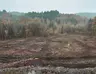 ESSAI5.jpg