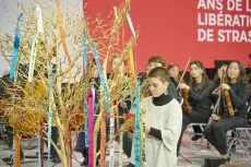 80 ans de le libération de Strasbourg - les jeunes avec l'arbre