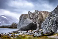 laureates-nature-photography-contest-2023-17.jpeg