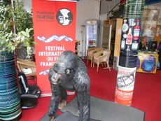 tuebingen-2014-02.jpg