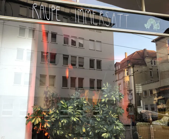 raupe-immersatt.jpg